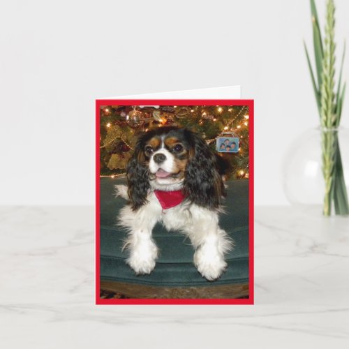 Cavalier King Charles Spaniel Christmas Card