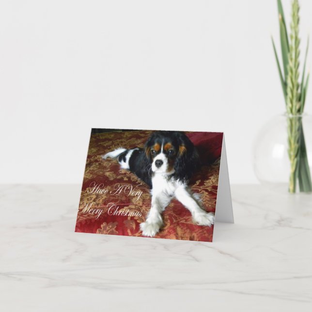 Cavalier King Charles Spaniel Christmas Card (Front)