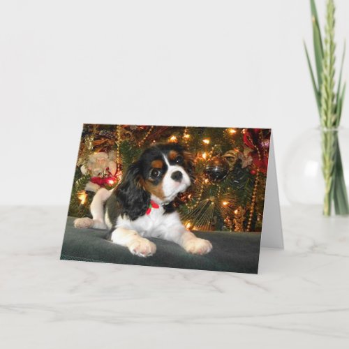 Cavalier King Charles Spaniel Christmas Card