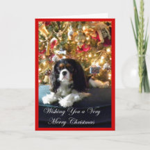 Black Cavalier King Dog in Snow with Christmas Gifts and Dog House Greeting Card Set of 25 5 x 7 inches Black Cavalier King Dog in Snow with Christmas Gifts and Dog House Greeting Card Set of 25 5 x 7 inches