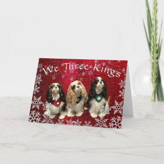 Cavalier King Charles Spaniel Christmas Card