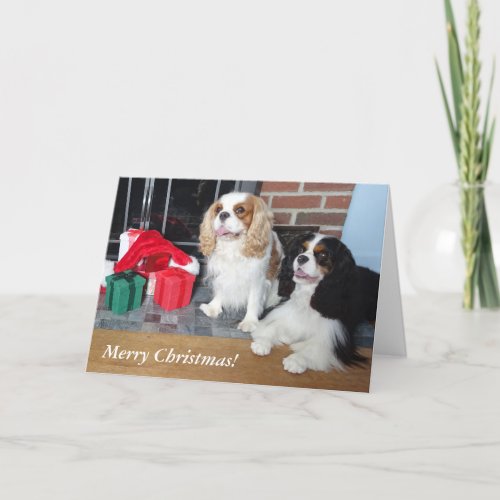 Cavalier King Charles Spaniel Christmas Card