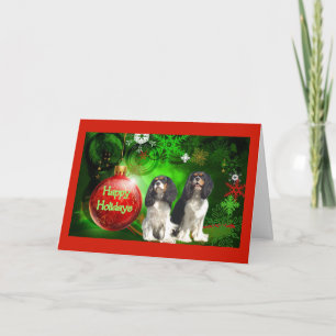 Cavalier King Charles Spaniel Christmas Card Red B