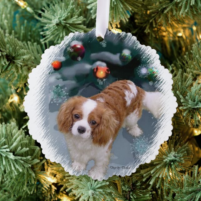 Cavalier King Charles Spaniel Christmas Gifts Ornament Card (Insitu (Tree))