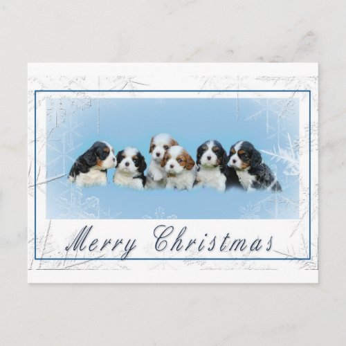 Cavalier King Charles Spaniel Christmas Holiday Postcard