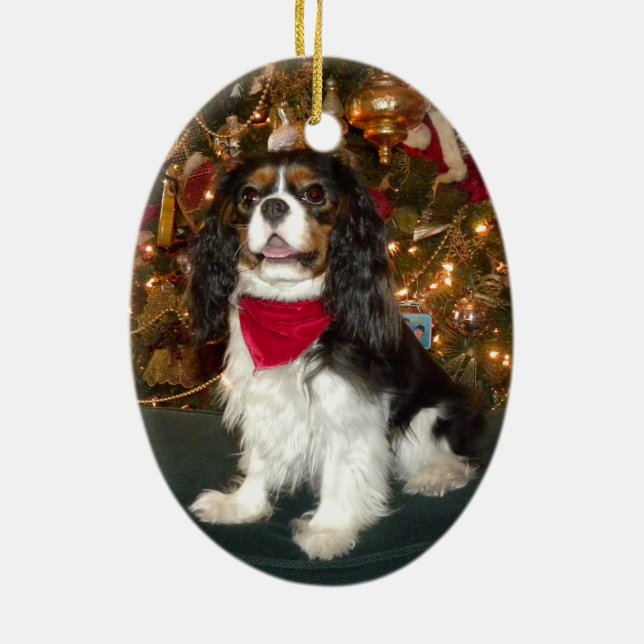 Cavalier King Charles Spaniel Christmas  Ornament (Back)