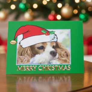 Cavalier King Charles Spaniel Christmas Santa Hat  Holiday Card