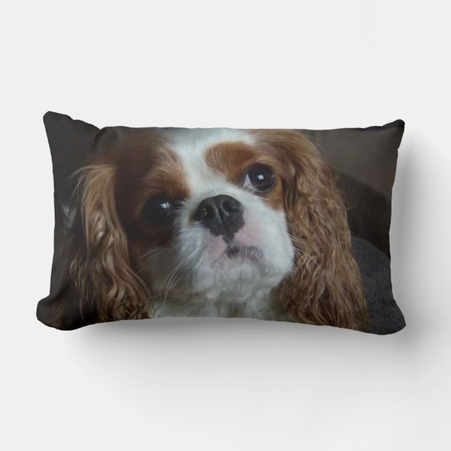 Cavalier King Charles Spaniel cushion pillow (Front)