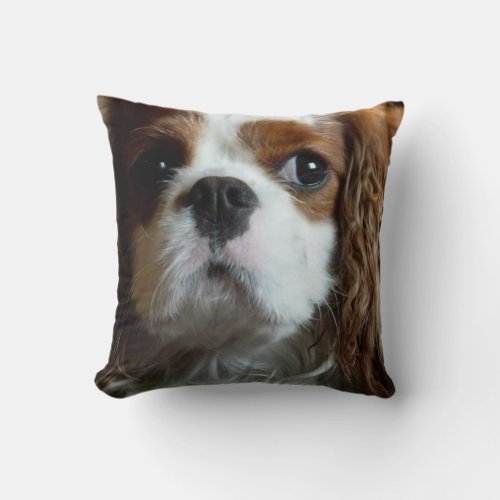 Cavalier King Charles Spaniel cushion pillow