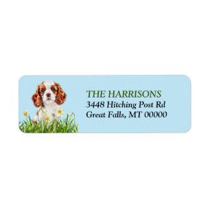 Cavalier King Charles Spaniel Daffodil Garden Label
