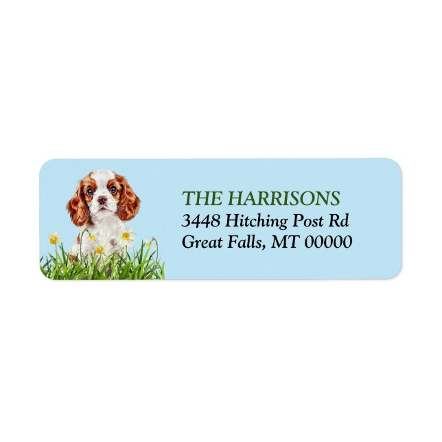 Cavalier King Charles Spaniel Daffodil Garden Label (Front)