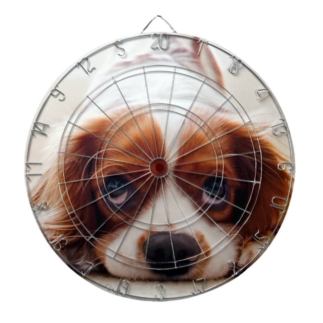 Cavalier King Charles Spaniel Dart Board (Front)