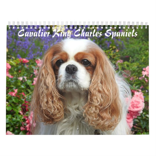 Cavalier King Charles Spaniel Dog #2 Calendar (Cover)