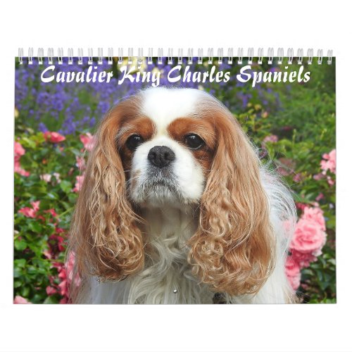 Cavalier King Charles Spaniel Dog 2 Calendar