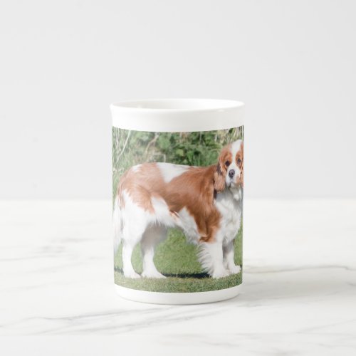 Cavalier King Charles Spaniel dog beautiful photo Bone China Mug