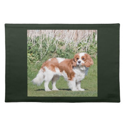 Cavalier King Charles Spaniel dog beautiful photo Cloth Placemat