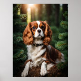 Cavalier King Charles Spaniel dog photo poster