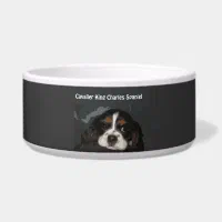 Cavalier King Charles Spaniel Dog Bowl Zazzle