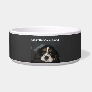 Cavalier King Charles Spaniel Dog Bowl