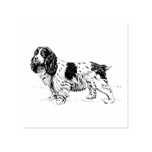 Cavalier King Charles Spaniel Dog Breed Rubber Stamp