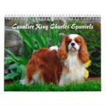 Cavalier King Charles Spaniel Dog Calendar