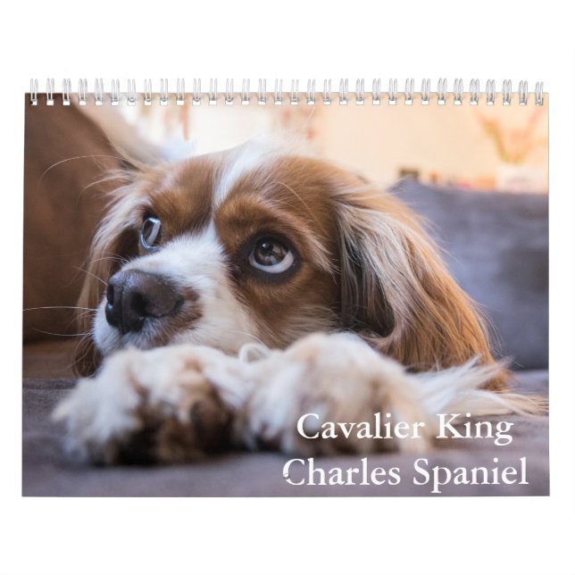 Cavalier King Charles Spaniel Dog Calendar (Cover)