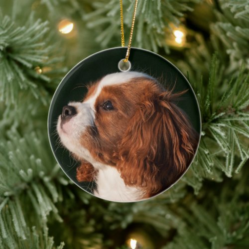 Cavalier King Charles Spaniel Dog Ceramic Ornament