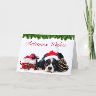 Cavalier King Charles Spaniel Dog Christmas