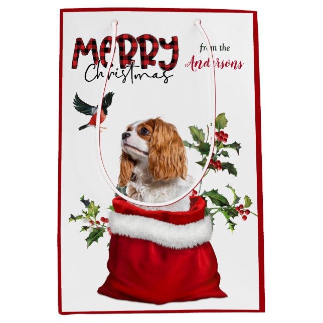 Cavalier King Charles Spaniel Dog Christmas Medium Gift Bag (Front)