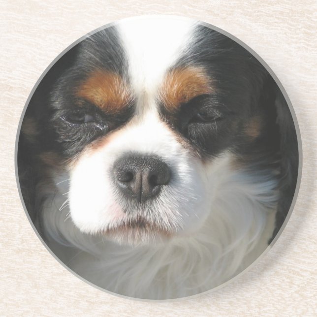 Cavalier King Charles Spaniel Dog Coaster (Front)
