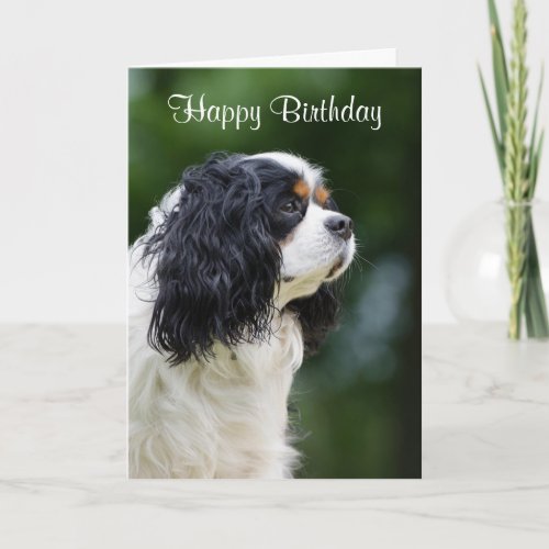 Cavalier King Charles Spaniel dog custom birthday Card