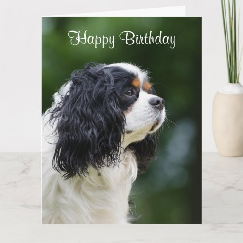 Cavalier King Charles Spaniel dog custom birthday Card