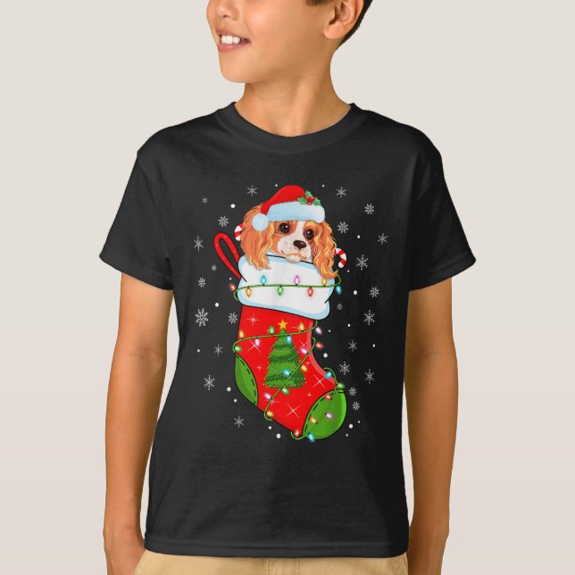 Cavalier King Charles Spaniel Dog In Christmas Soc T-Shirt (Front)