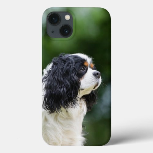 Cavalier King Charles Spaniel dog lovers photo iPhone 13 Case