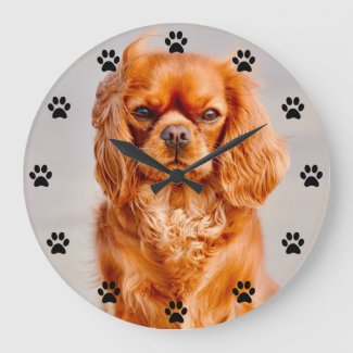 Cavalier King Charles Spaniel Dog - Paw Print Time