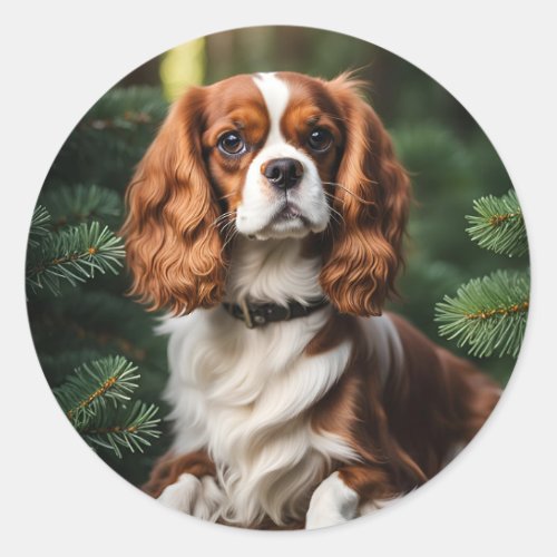 Cavalier King Charles Spaniel dog photo beautiful  Classic Round Sticker