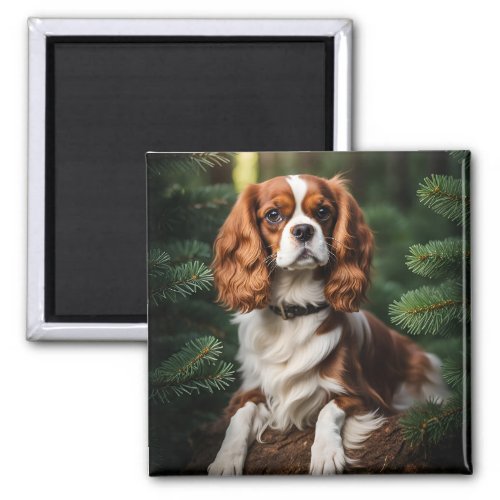 Cavalier King Charles Spaniel dog photo beautiful  Magnet