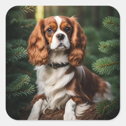 Cavalier King Charles Spaniel dog photo beautiful  Square Sticker