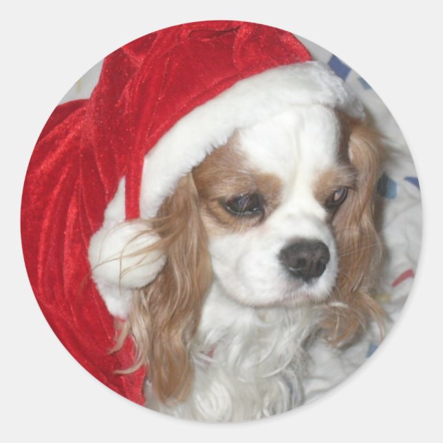 CAVALIER KING CHARLES SPANIEL DOG WITH SANTA HAT CLASSIC ROUND STICKER (Front)