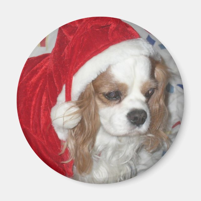 CAVALIER KING CHARLES SPANIEL DOG WITH SANTA HAT MAGNET (Front)
