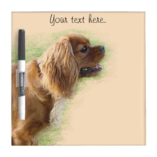 Cavalier King Charles Spaniel Dry-Erase Board (Front)