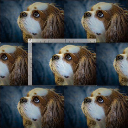 Cavalier King Charles Spaniel Fabric