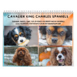 Cavalier King Charles Spaniel FB Group Calendar