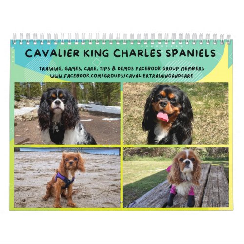 Cavalier King Charles Spaniel FB Group Calendar 2