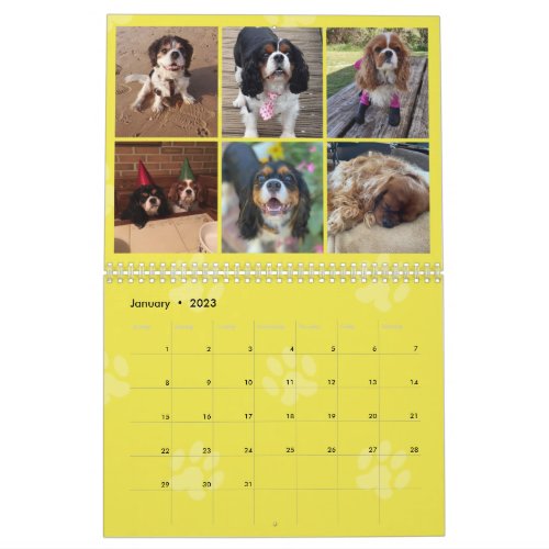 Cavalier King Charles Spaniel FB Group Calendar 3