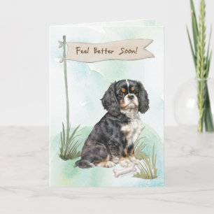 Cavalier King Charles Spaniel Feel Better Surgery Card