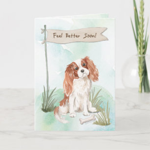 Cavalier King Charles Spaniel Feel Better w/ Dog Card