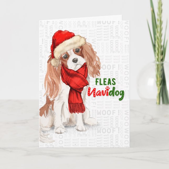Cavalier King Charles Spaniel Fleas NaviDOG Holiday Card (Front)