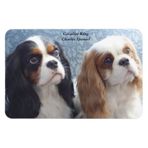 Cavalier King Charles Spaniel Flexible Magnet