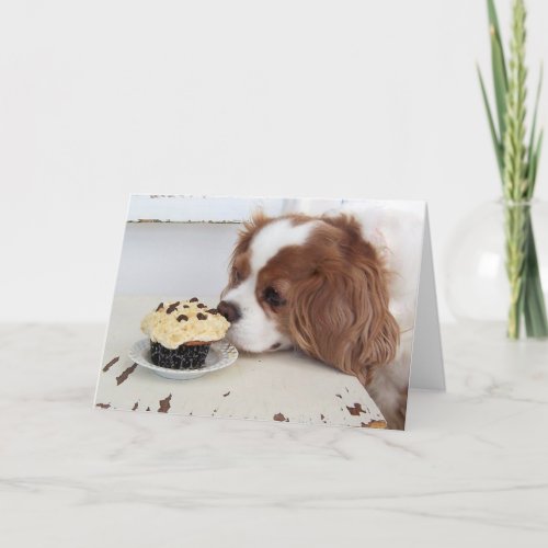 Cavalier King Charles Spaniel Fridays Cupcake Card